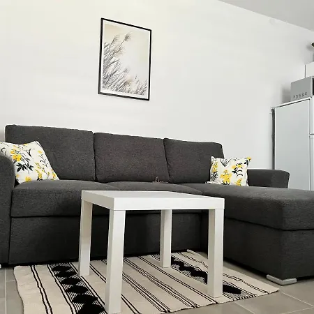 Fészek Zalaegerszeg