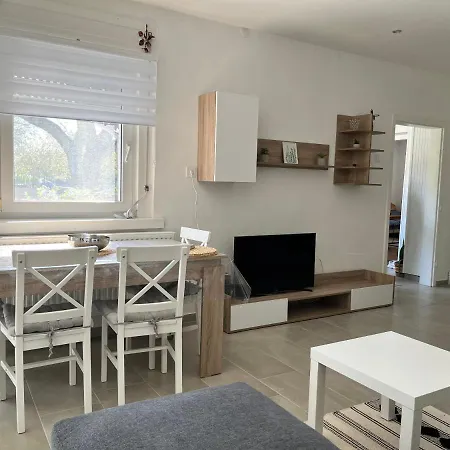 Fészek * Zalaegerszeg